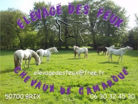 Élevage des Feux